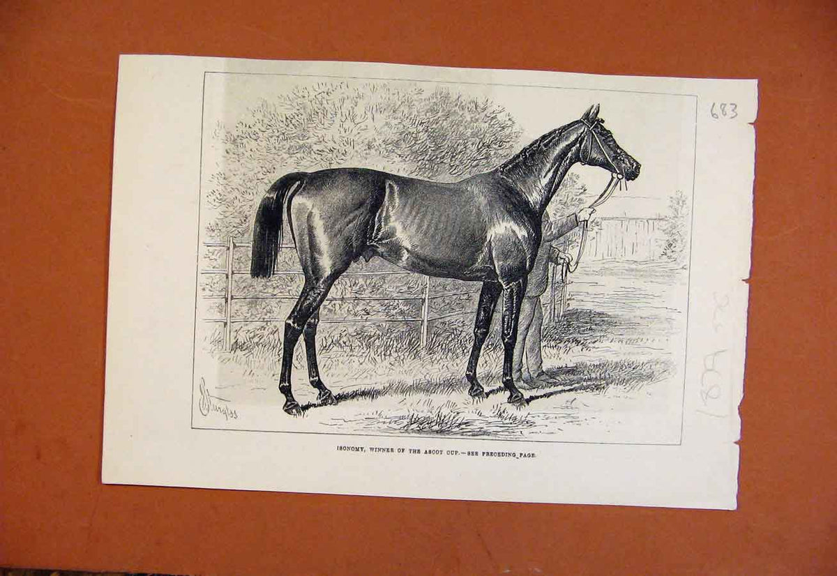 Original Old Antique Print Isonomy Winner Ascot C1879 From London News Victorian