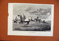Original Old Antique Print Ponies At Aldebourne C1891 From London News Victorian
