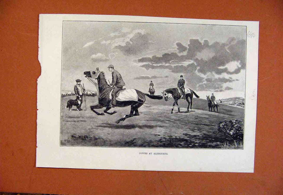 Original Old Antique Print Ponies At Aldebourne C1891 From London News Victorian