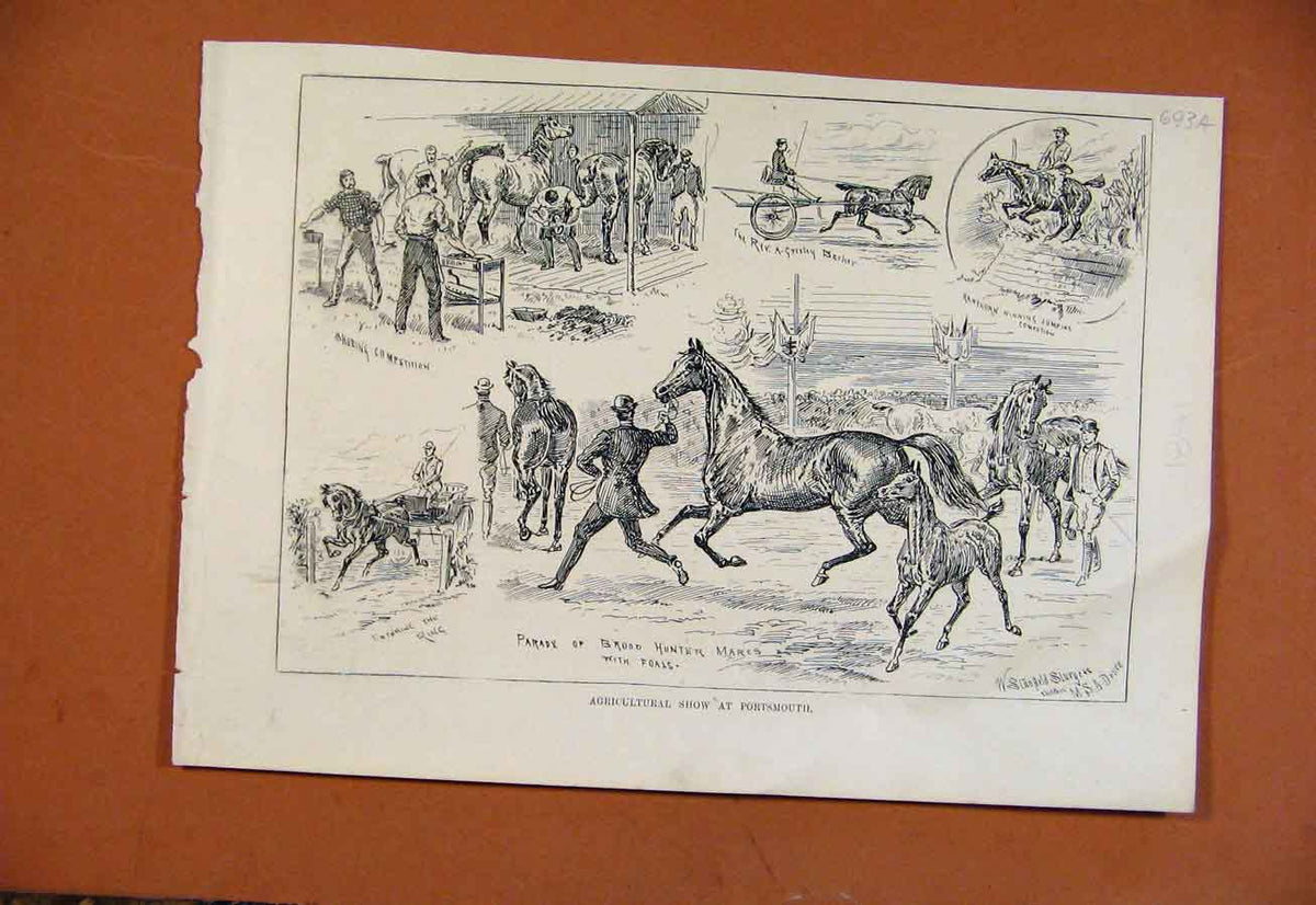Original Old Antique Print Agricultural Show Portsmouth From London News