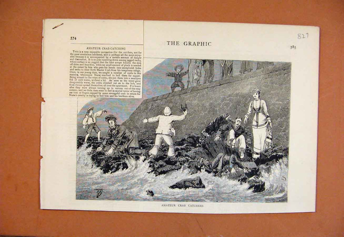 Original Old Antique Print Amateur Crab Catchers The Graphic C1879 Victorian