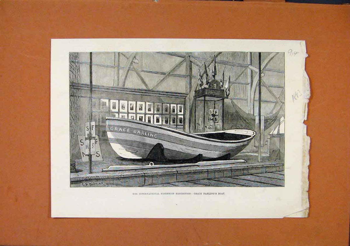 Original Old Antique Print International Fisheries Exhibition C1883 London News