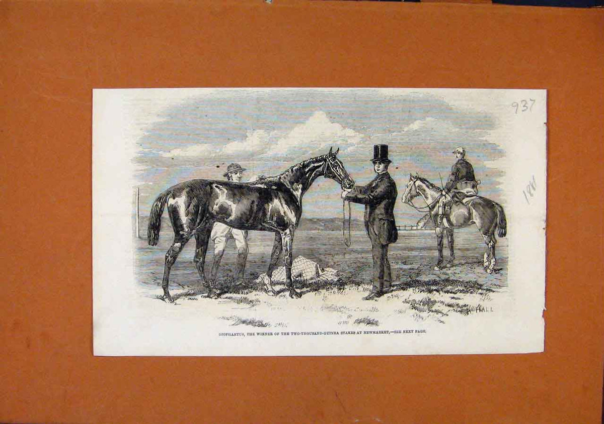 Original Old Antique Print Diophantus Winner Two Thousand Guinea Newmarket C1881