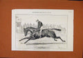 Original Old Antique Print Portraits William Gull Trench Duckworth C1886 19th