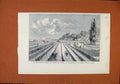 Original Old Antique Print Mussel Culture France Mouth Somme St Valery C1877