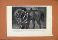 Original Old Antique Print Dugald Dalgetty Harger Gustavus Horse C1871 19th