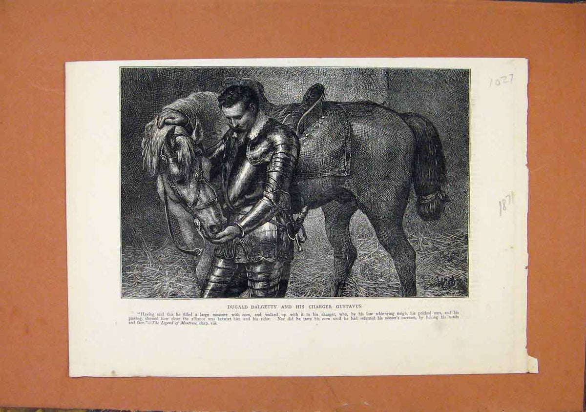 Original Old Antique Print Dugald Dalgetty Harger Gustavus Horse C1871 19th