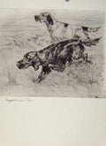 Original Old Vintage Print Sporting Dogs 1938 Vernon Stokes Houndns Sketch 20th