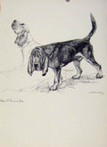 Original Old Vintage Print Sporting Dogs 1938 Vernon Stokes Hound 20th Century