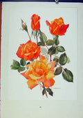 Original Old Antique Print Plate 19 Sutters GRoses Trechslin Bois 20th Century