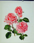 Original Old Antique Print Plate 60 Romantica Roses Bois & Trechslin