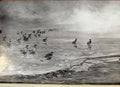Original Old Antique Print Memoirs An Artist Naturalist Mallard On Ice Victorian