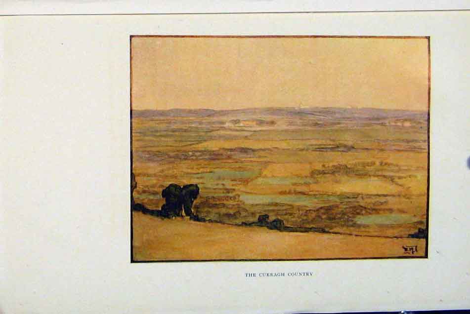 Original Old Antique Print Isle Man By Donald Maxwell Curragh Country C1909 20th