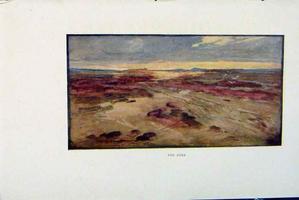 Original Old Antique Print Isle Man By Donald Maxwell The Ayre C1909 20th