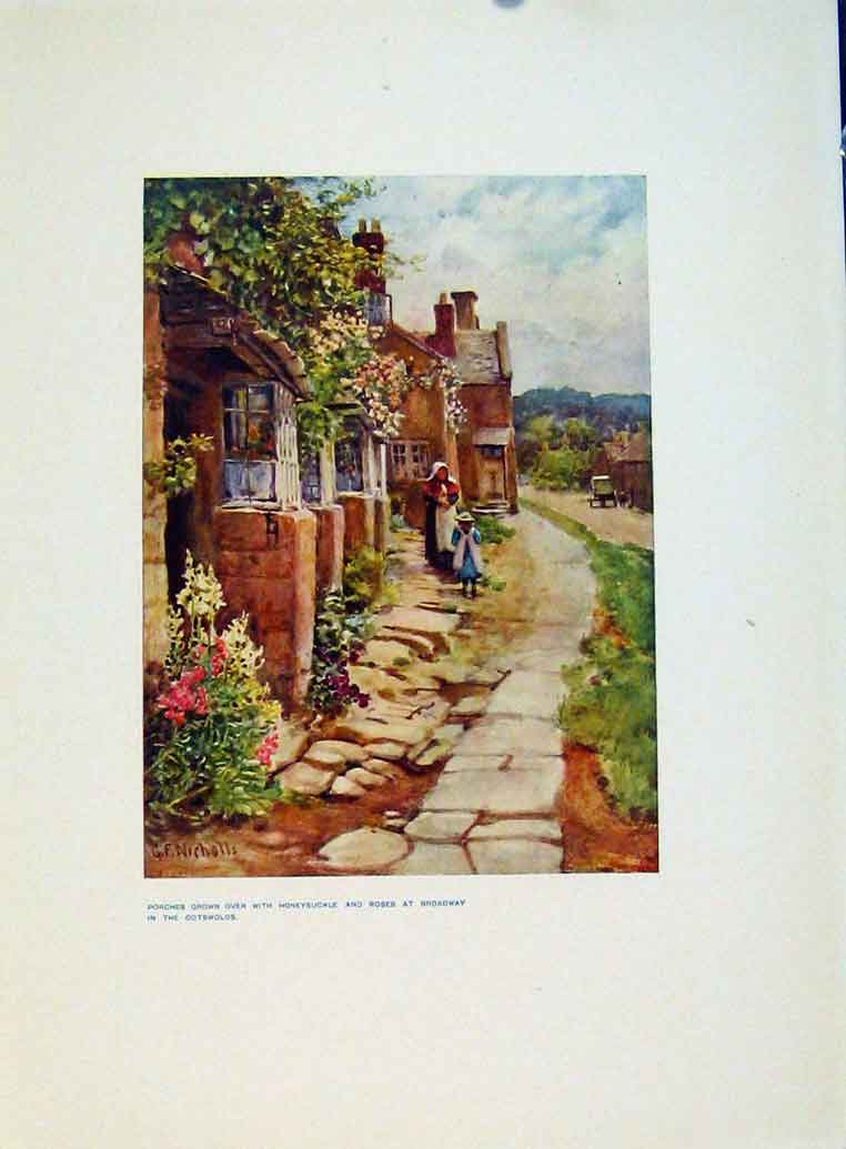 Original Old Antique Print Charm Gardens Porches Honeysuckle Broadway Caltrhrop