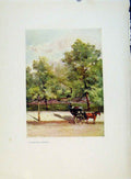 Original Old Antique Print Charm Gardens Cab Driver Piccadilly By Calthrop