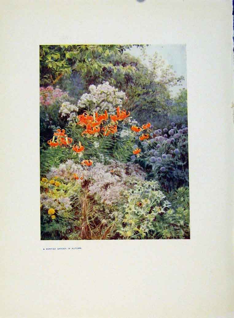 Original Old Antique Print Charm Gardens Kentish Garden Autumn By Calthrop 20th