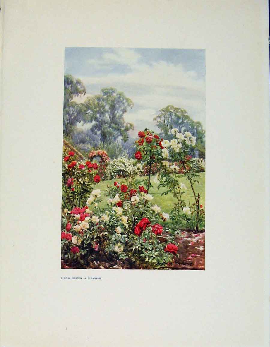 Original Old Antique Print Charm Gardens Rose Garden In Berkshire By Calthrop