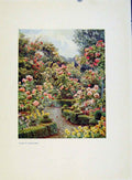 Original Old Antique Print Charm Gardens Path In Rose Garden By Calthrop