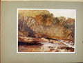 Original Old Antique Print Plate Xii A Mountain Stream Turners Gen Vision