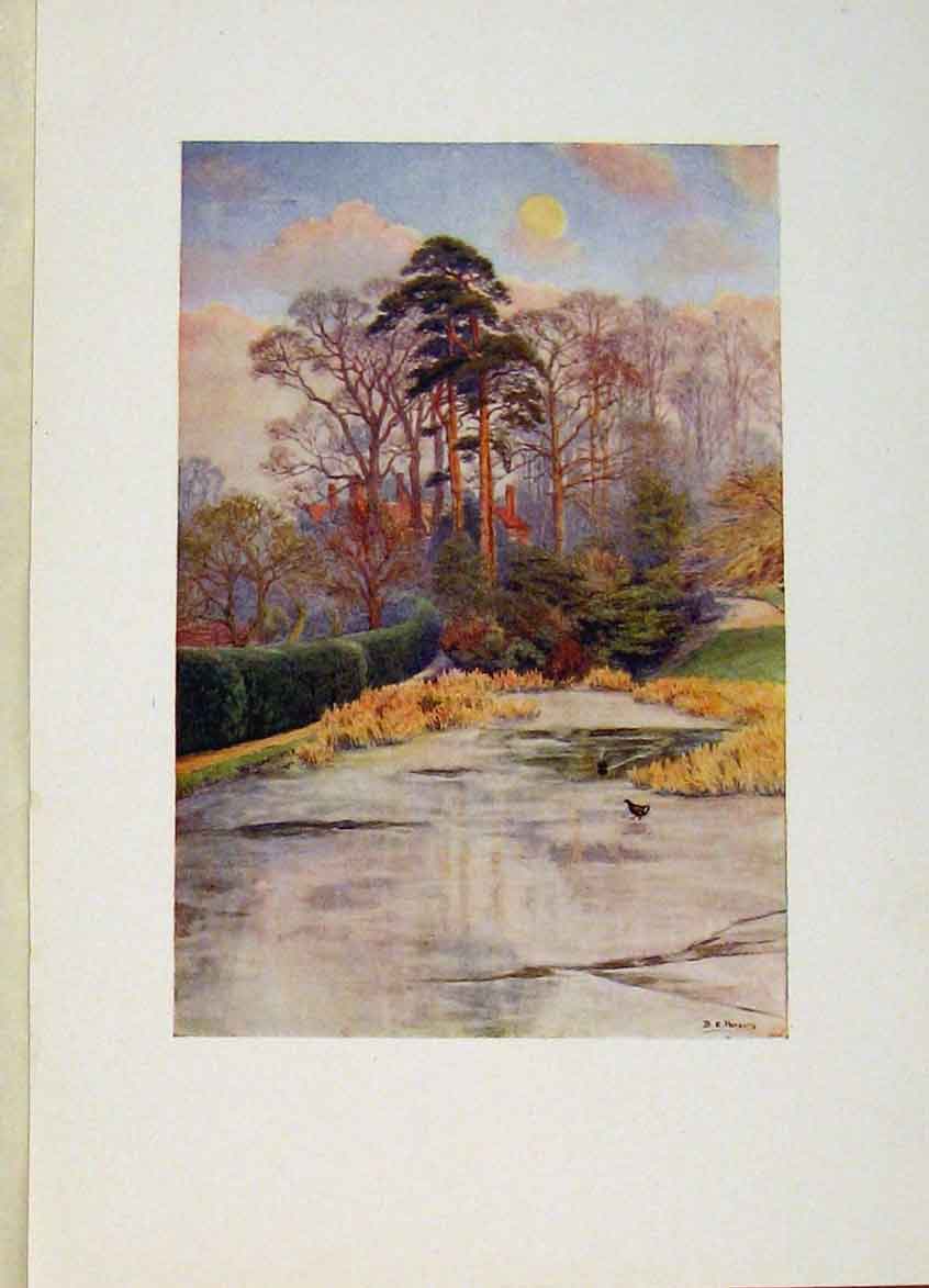 Original Old Antique Print Godlers Hill Park London Color C1916 Art 20th Century