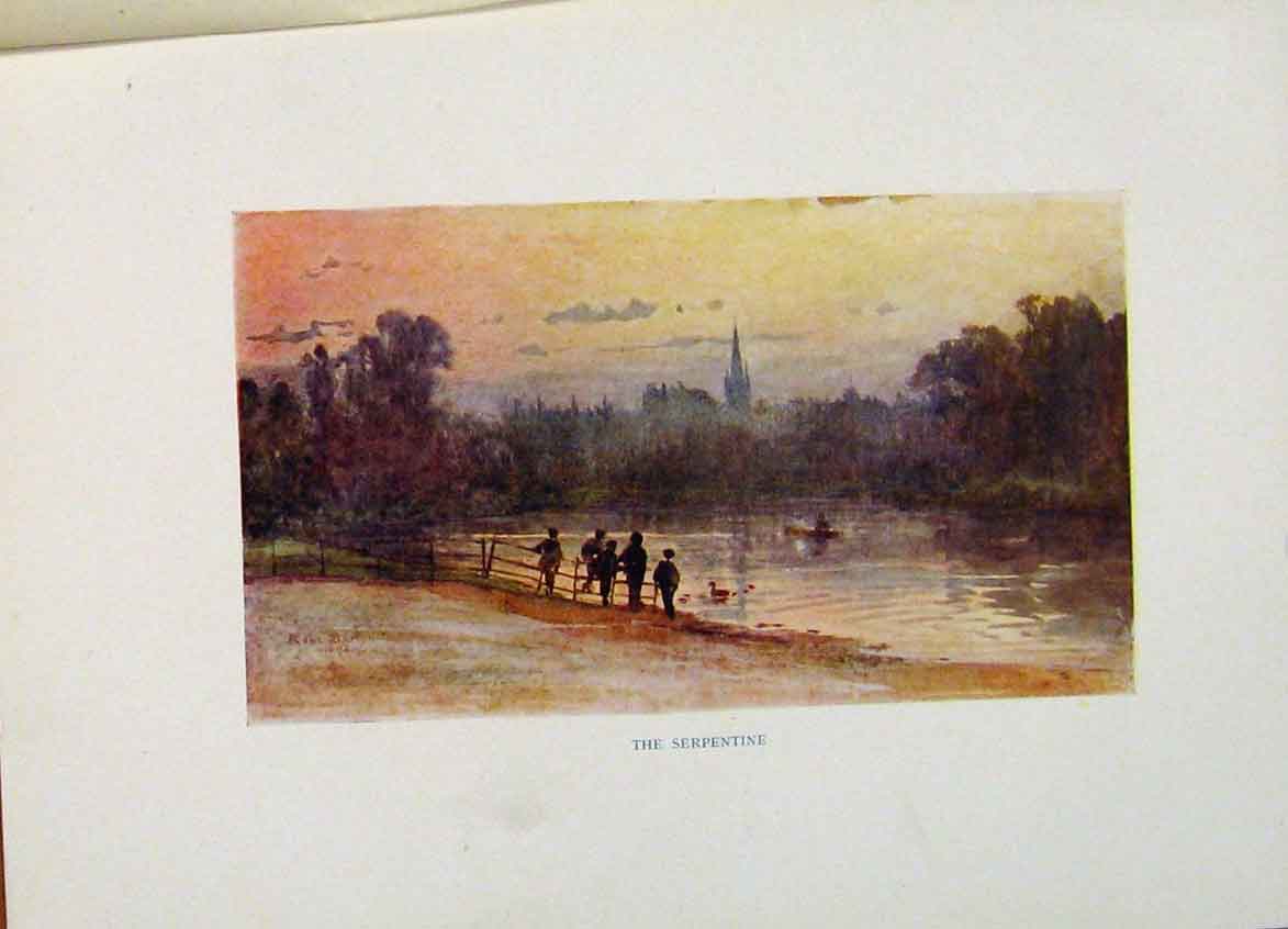 Original Old Antique Print Serpentine London Color Fine Art C1916 20th Century