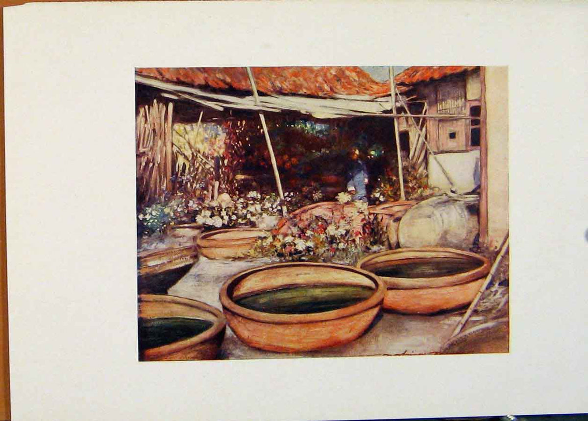 Original Old Antique Print Nursery Garden China World Pictures 1902 20th Century