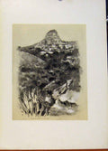 Original Old Antique Print Hill Country Near Bloemfontein World Pictures