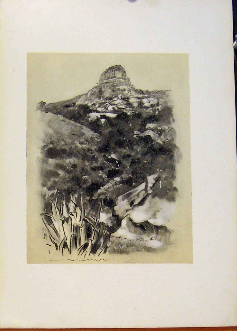 Original Old Antique Print Hill Country Near Bloemfontein World Pictures