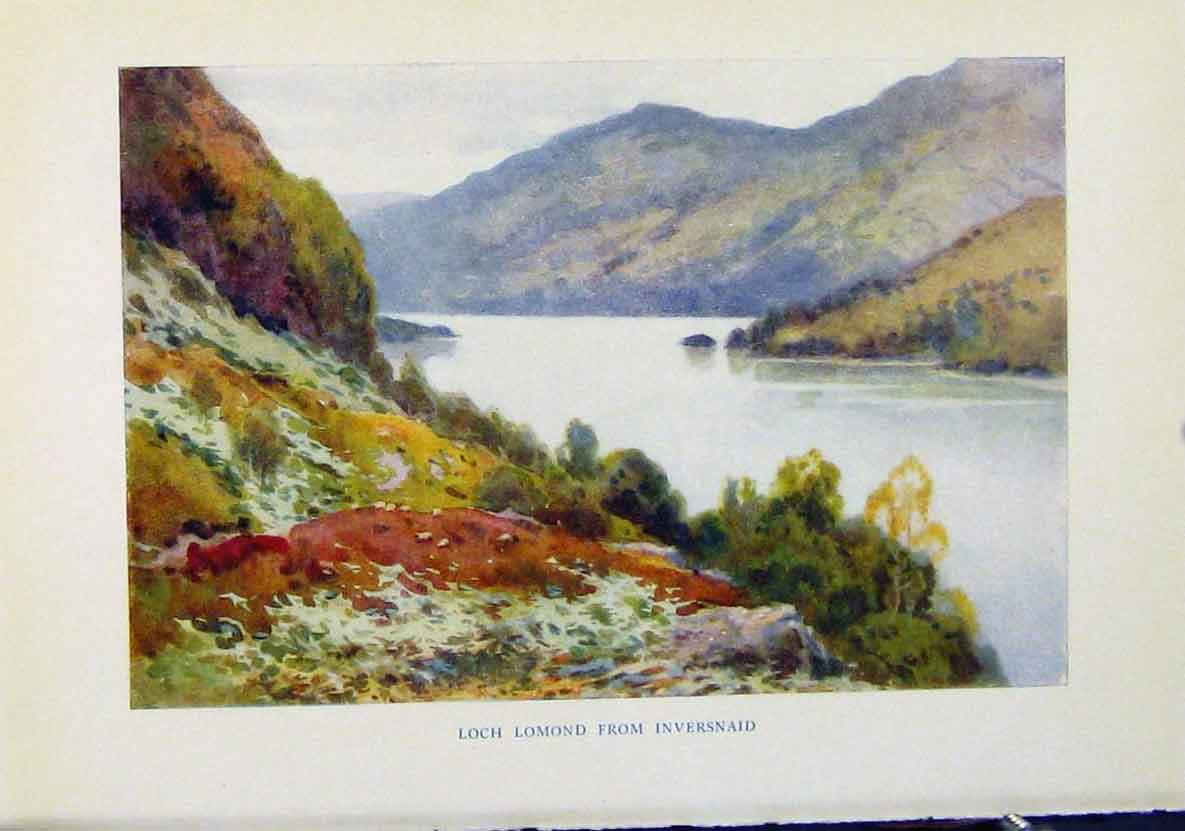 Old Antique Print Loch Lomond Inversnaid By Haslehurst Beautiful Scotland