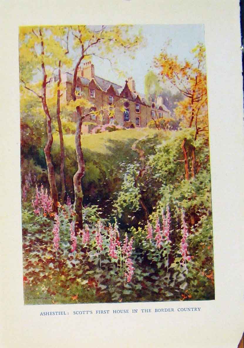 Old Antique Print Ashestiel Scotts First House Country Beautiful Scotland