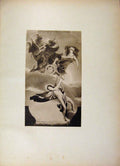 Original Old Antique Print French Art Lamour Et La Nuit By Lemcomte Du Nouy