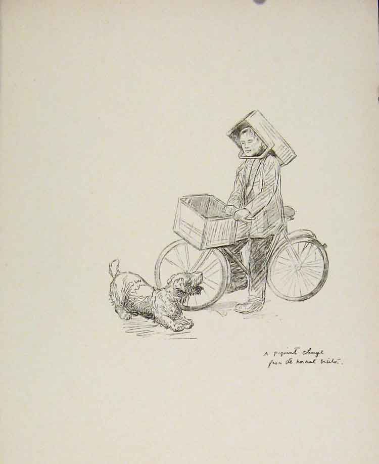Original Old Antique Print Drawing Sketch Dog Man On Bicycle Rogue'S Gallery
