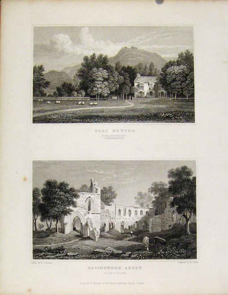 Original Old Antique Print Plas Newydd Denbighshire Basingwerk Abbey Flintshire