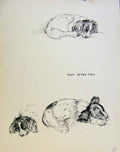Original Old Antique Print Just Pups By K F Barker Pencil Sketch Dog Drawing