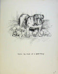 Original Old Vintage Print Dog Drawing Puppy Sketches By Barker C1937 20th
