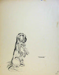 Original Old Antique Print Just Pups By K F Barker Pencil Sketches Dog Puppy