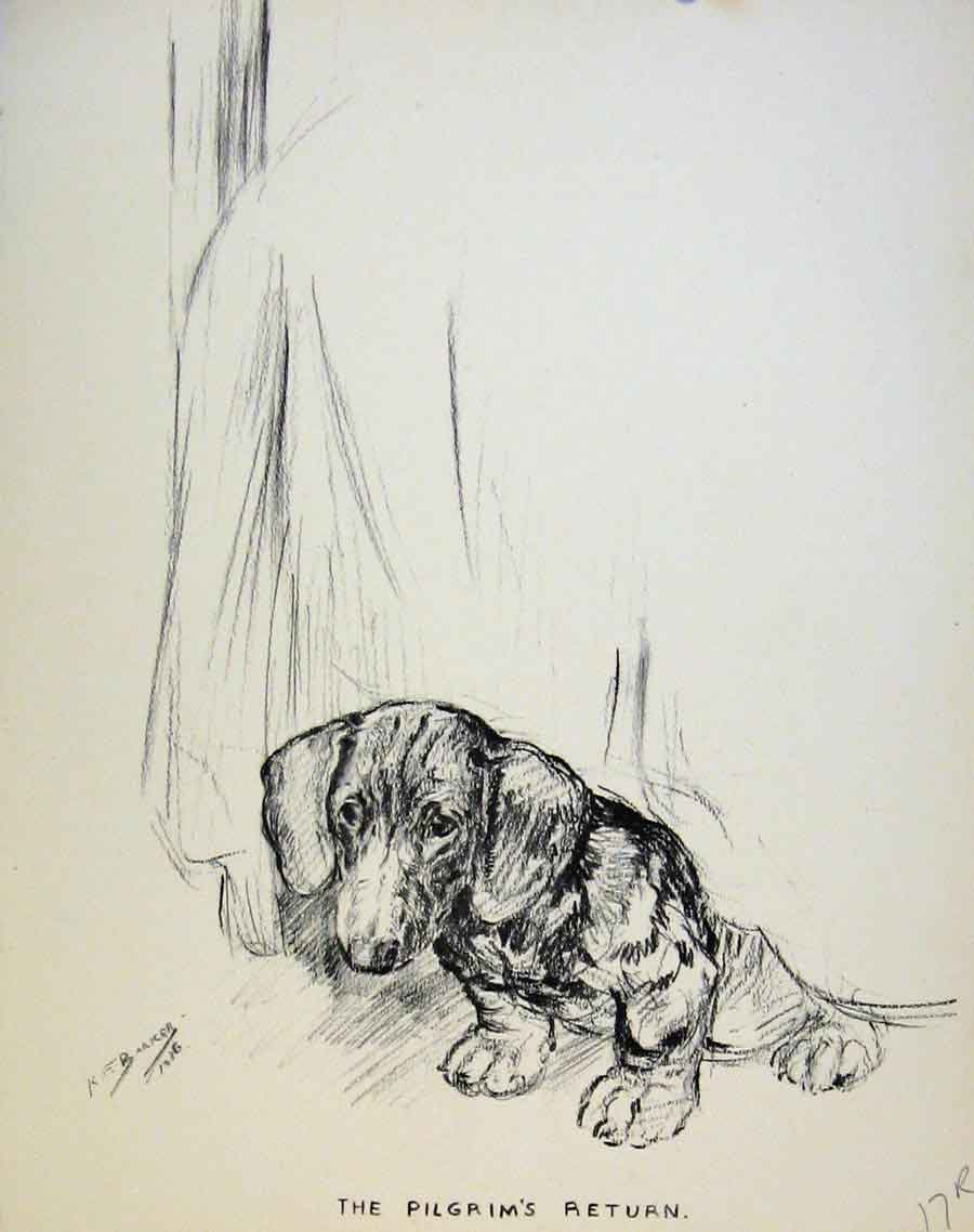Original Old Antique Print Dog Drawing Just Pups By K F Barker Puppy Art 18th