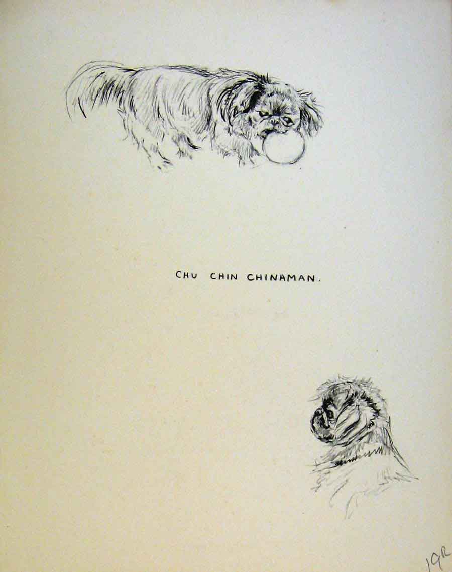 Original Old Antique Print Puppy Dog Drawing Just Pups By K F Barker Art 20th
