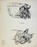Original Old Antique Print Fine Art Pencil Puppy Dog Drawing By Barker