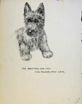 Original Old Vintage Print Just Pups By K F Barker Pencil Sketches C1937 20th