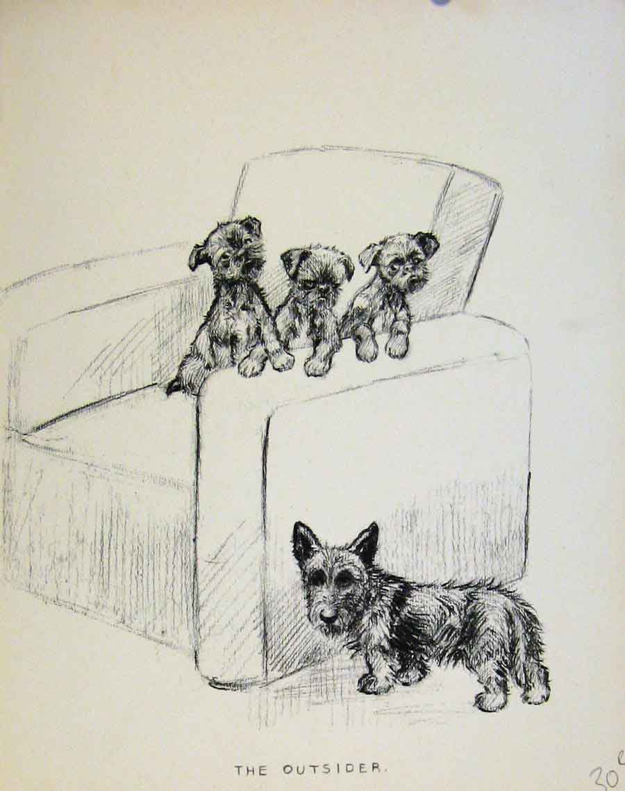 Original Old Antique Print Just Pups By K F Barker Puppy Dog Drawing