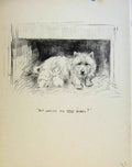 Original Old Antique Print Puppy Dog Drawing Just Pups By K F Barker