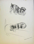 Original Old Antique Print Just Dogs By K F Barker Dog Drawing Pencil Sketch