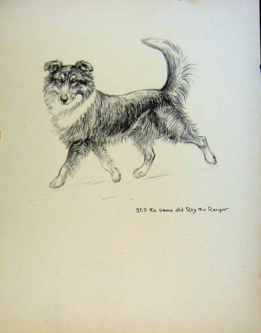 Original Old Antique Print Doges Chasing Hare Dog Drawing Pencil By Barker