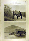 Old Antique Print 1897 Connemara Shindallagh Boat-Race America University 19th