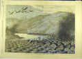 Original Old Antique Print 1869 Cormorants Nests Magdalena Island Magellan 19th