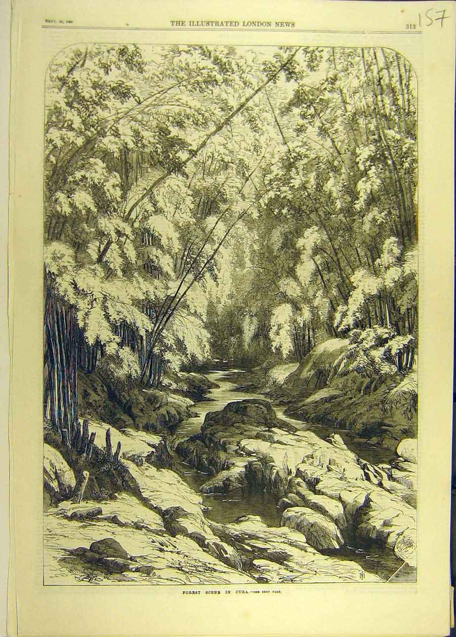 Original Old Antique Print 1869 Forest Cuba Trees River Water Rocks Victorian