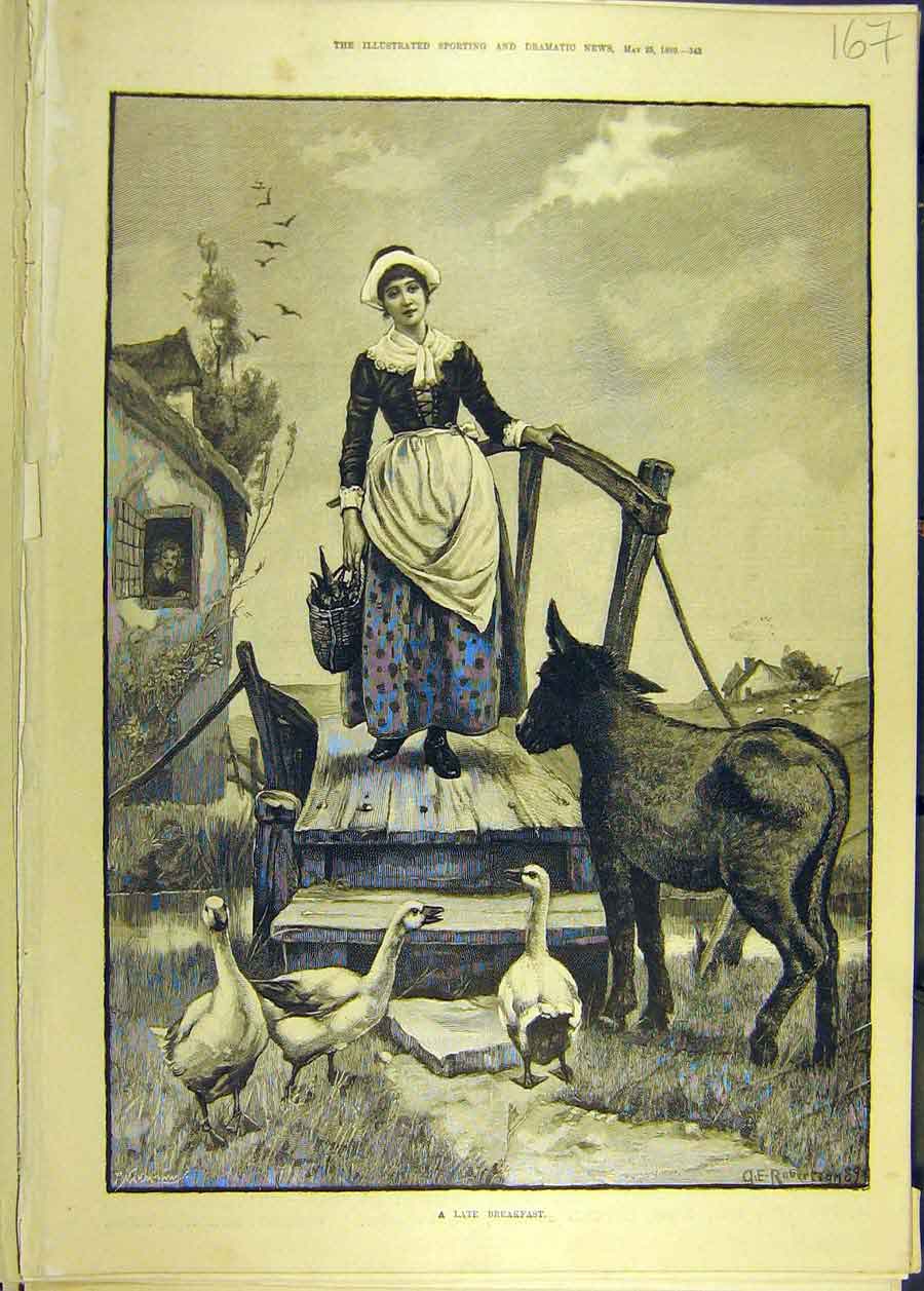 Original Old Antique Print 1889 Breakfast Farm Animals Geese Donkey Maid 19th