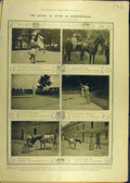 Original Old Antique Print 1906 Queen Spain Horsewoman Rider Royal Alfonso 20th
